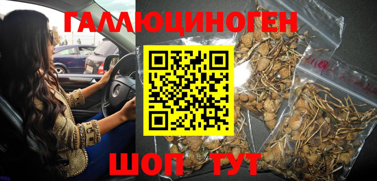 Добрянка  Псилоцибиновые грибы MAGIC MUSHROOMS  Вход с VPN 