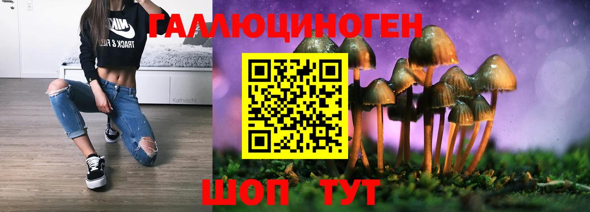 Псилоцибиновые грибы Psilocybe Добрянка